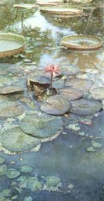 水粉大师Steve Hanks 350-Water Lilies in Bloom